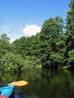 kayaking