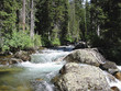 wald & fluss