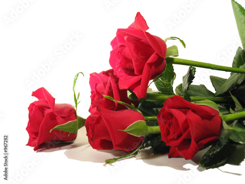 Photo: bouquet de roses rouges bouquet de roses rouges