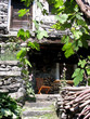 veranda