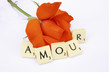 amour rose