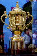 coupe du monde de rugby