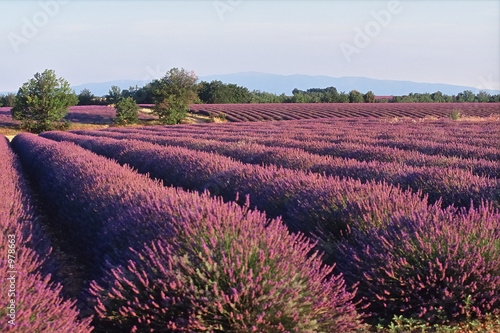 couleures provence