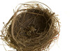 lucky crow nest