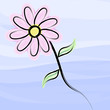 flower in the sky