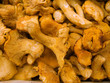 pfifferlinge pilze pfifferlinge pilze