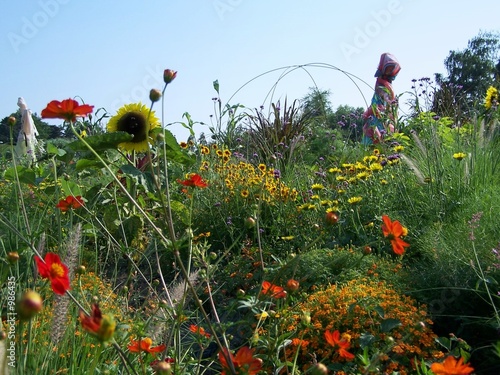jardin fleuri au ciel bleu