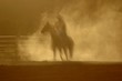 dusty ride
