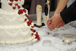 Photo en ligne au meilleur prix cake cutting