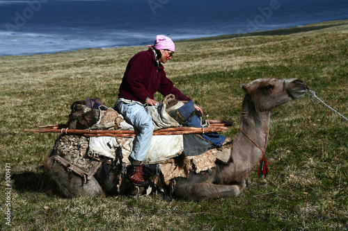 riding a camel riding a camel
