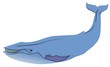 whale