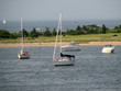 sailboats