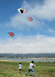rokkaku kite battle -- two fighters