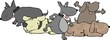 group of dogs