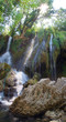 paradise scene