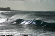 hawaiian waves