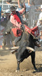 bull & rider