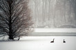 two geese two geese