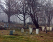 the cemetery