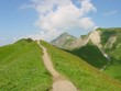 grassy mountain path