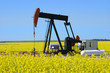 Foto: pump jack in a canola field pump jack in a canola field