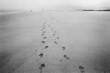 footprints footprints