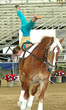 horse vaulter performing
