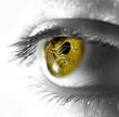 ojo chip m 5 ojo chip m 5