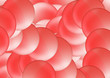 les bulles