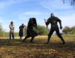knight and panoply 11