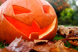 jack-o-lantern