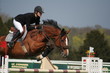cavalière jumping chantilly