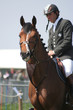 philippe rozier et burg louis z