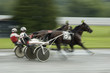 harness race