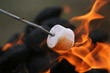 fire roasted marshmallow