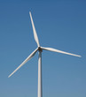 windmill windmill