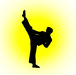 taekwondo fighter
