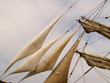 sail closeup