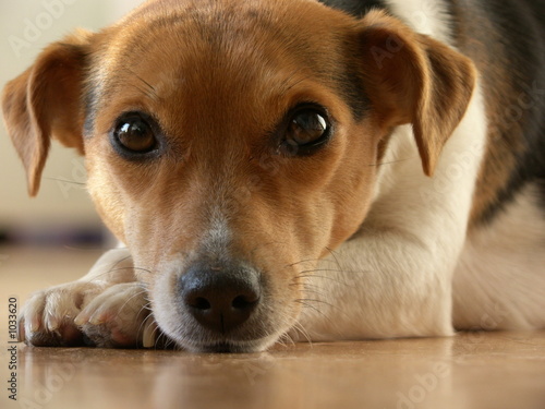 Photo: dido 2 dido 2