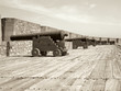 row of cannons