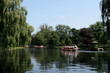 Photo: boston common boston common