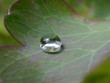 wassertropfen