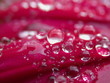 wassertropfen