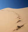 footprints to nowhere