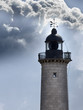 faro7306
