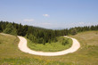 wild landscapes