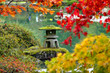 japanese maple