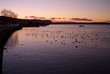 lake rotorua at dusk