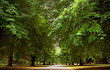 green mile green mile