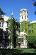 university of chicago neogothic building